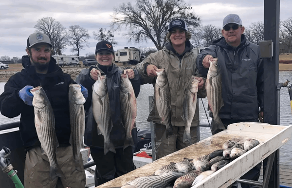Lake Texoma Fishing Guides | 5 Hour Charter Trip 